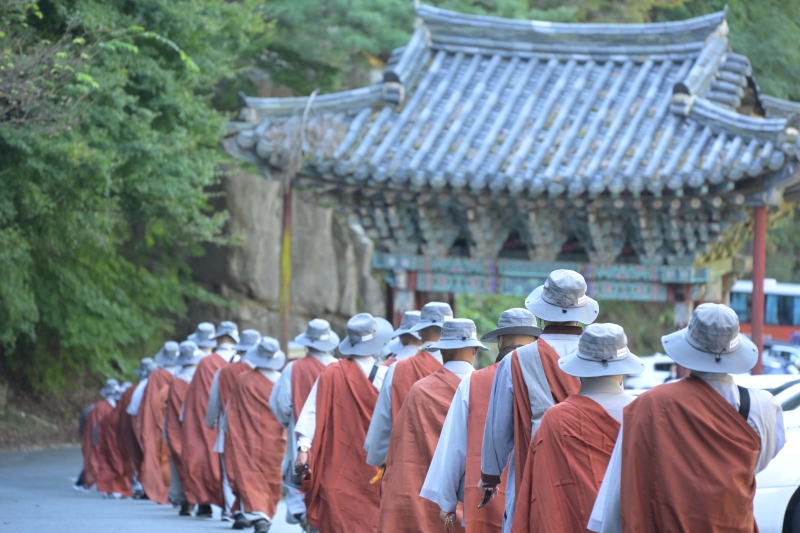 3면 ok 2번 자비순례